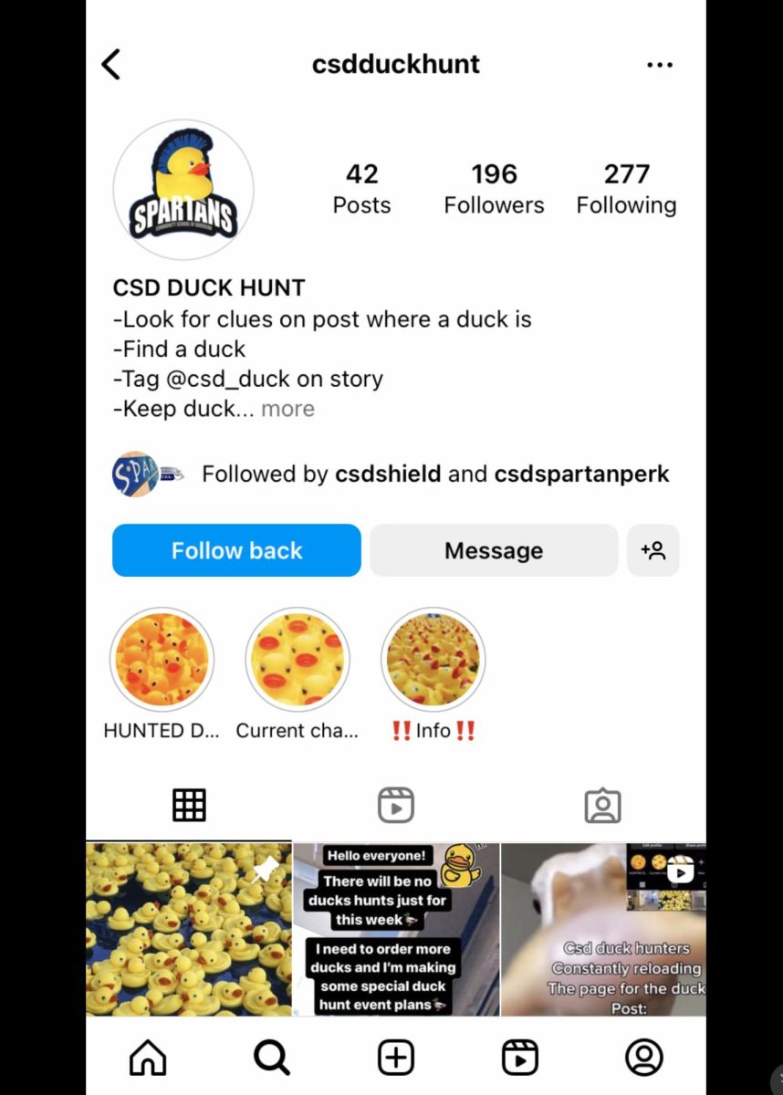 The popularity of Instagram’s CSD DUCK HUNT keeps followers on their toes. (Screenshot)
