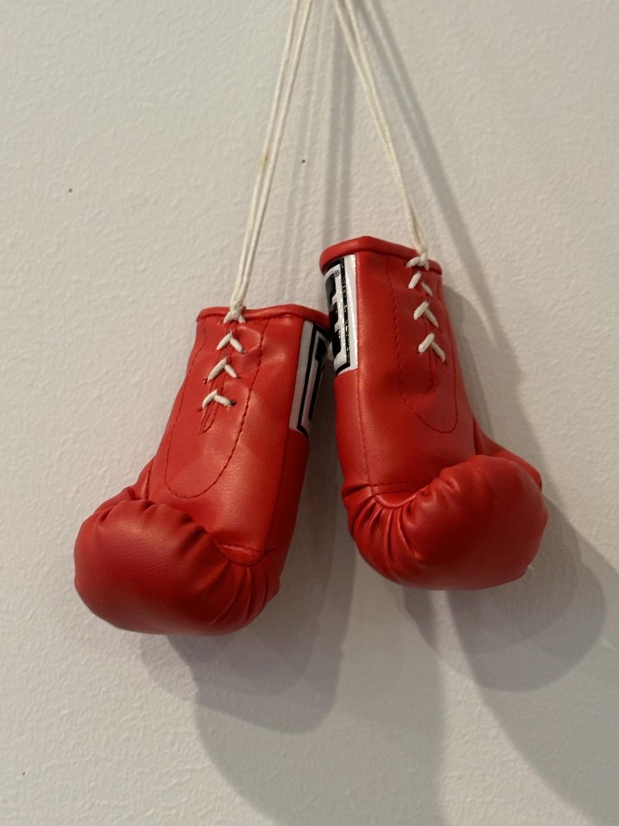 Boxing gloves hanging on the wall seem symbolic of the Paul - Tyson fight. With Jake Paul and Mike Tyson rarely connecting on their punches, and the hyped fight falling short of expectations, many think the outcome would’ve been the same if they never put their gloves on at all. 