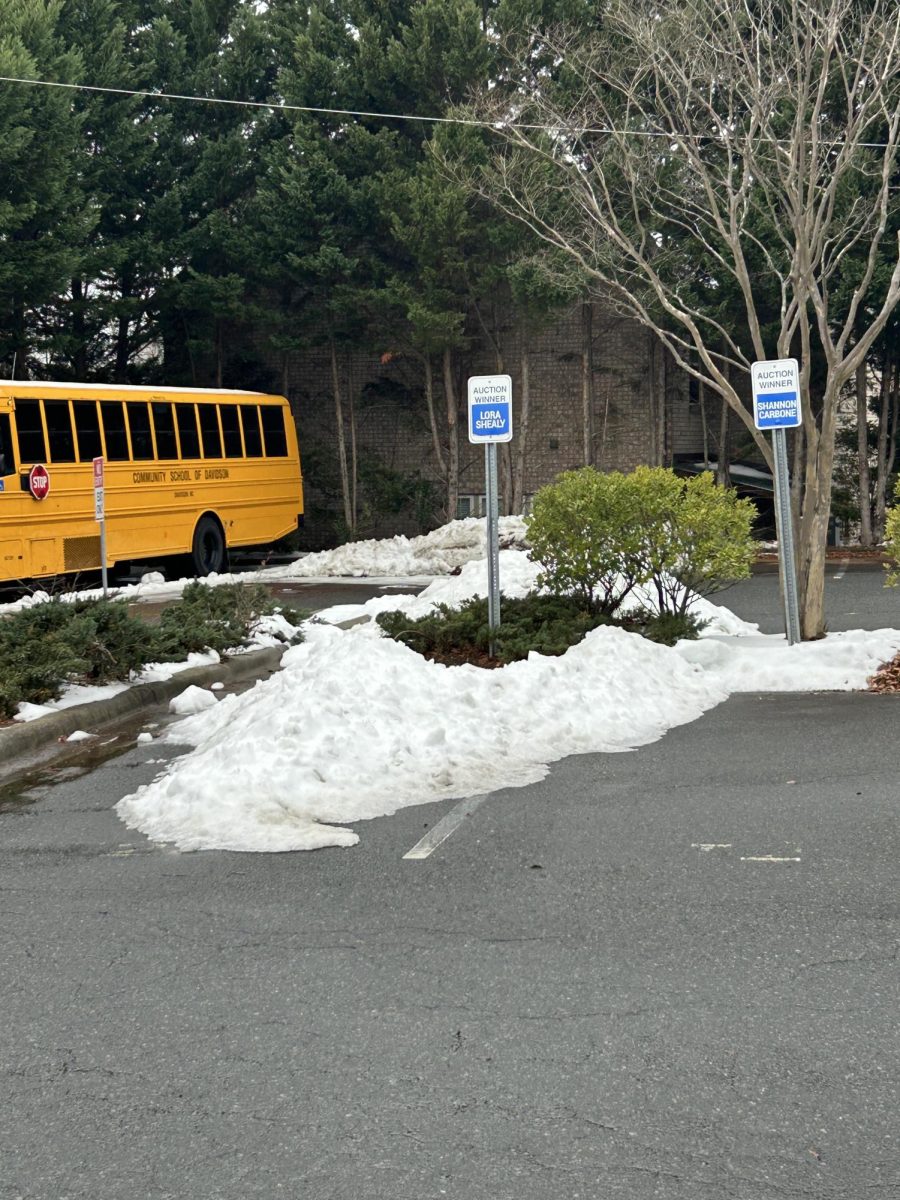 Snowbanks in the south are rare in the winter, but CSD had two in the span of a week. 11 inches of snow paralyzed the Davidson community has school shifted to remote.