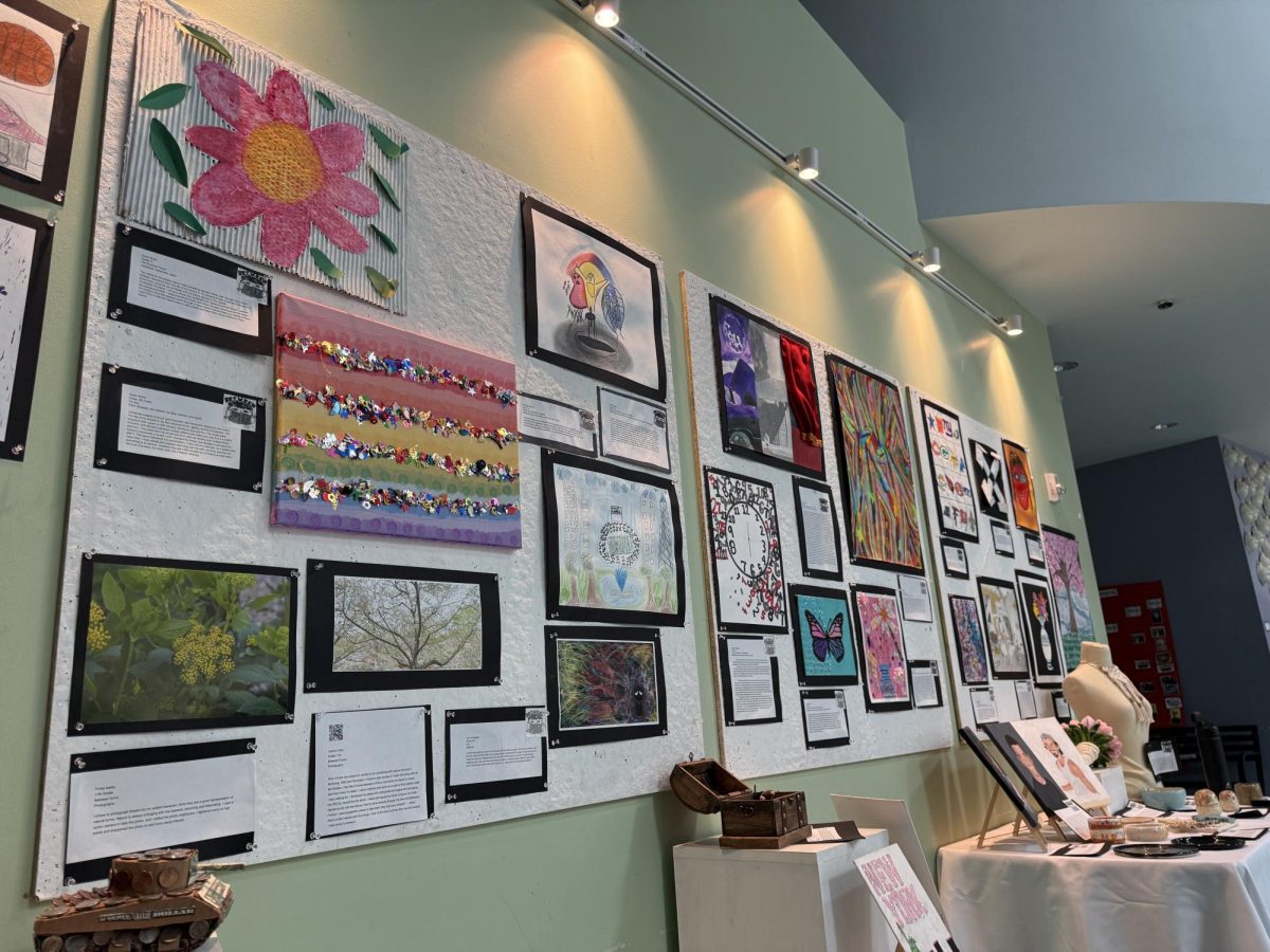 CSD’s end of the year Open Gallery Night event included creations from all high school art classes displayed under a new gallery lighting system.